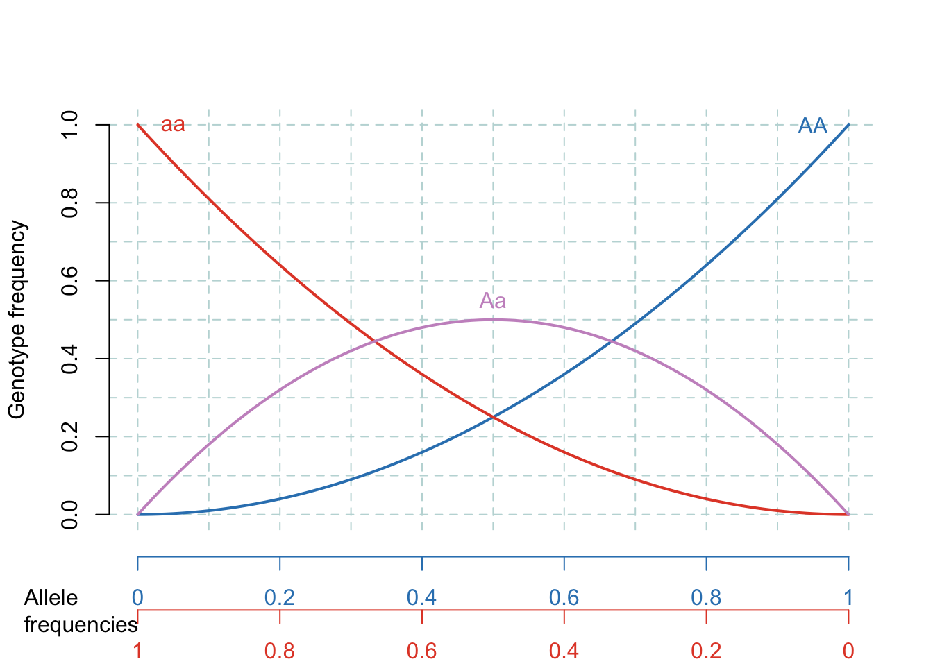 The Hardy-Weinberg Equilibrium. The lines represent the genotype frequencies at HWE, given particular allele frequencies.