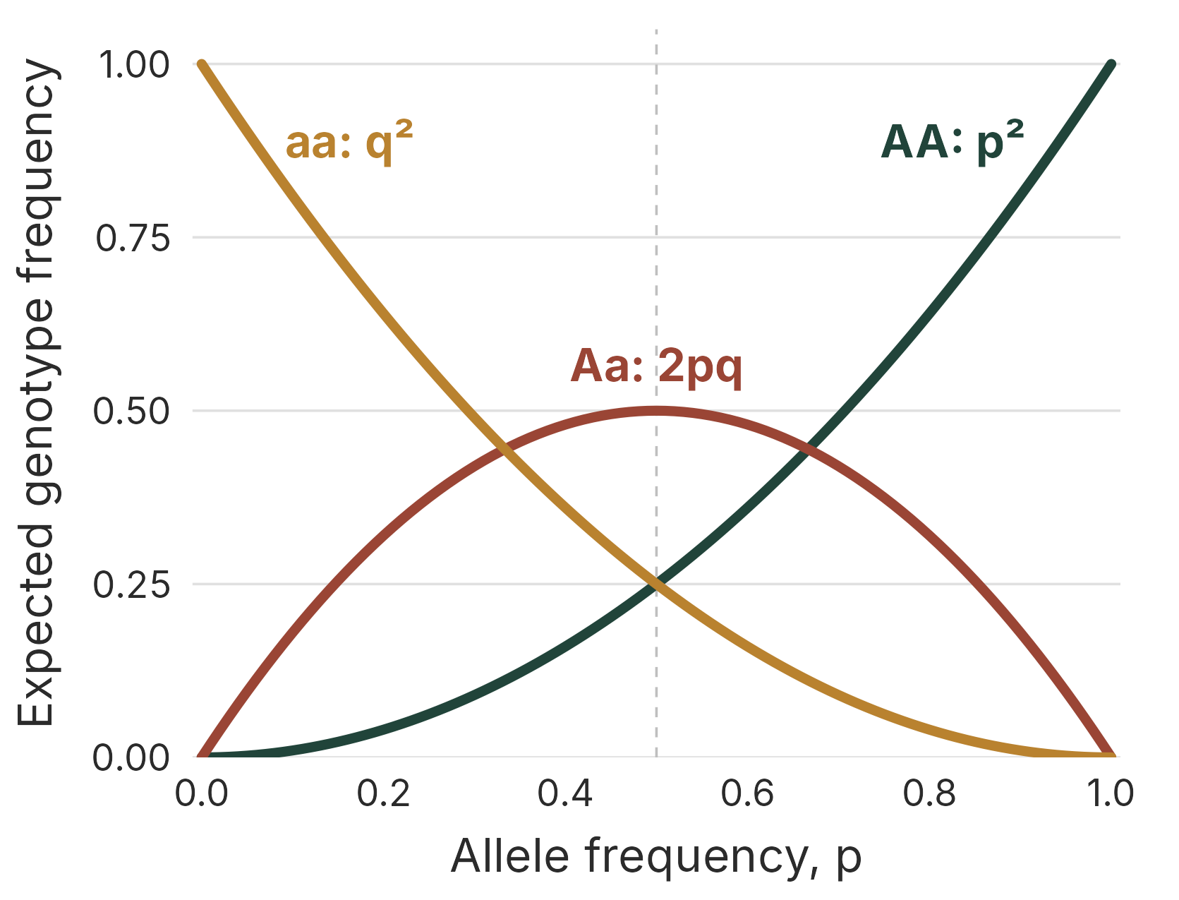 The Hardy-Weinberg Equilibrium. The lines show the expected genotype frequencies at HWE for each allele frequency, p.